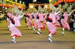 5459.jpg